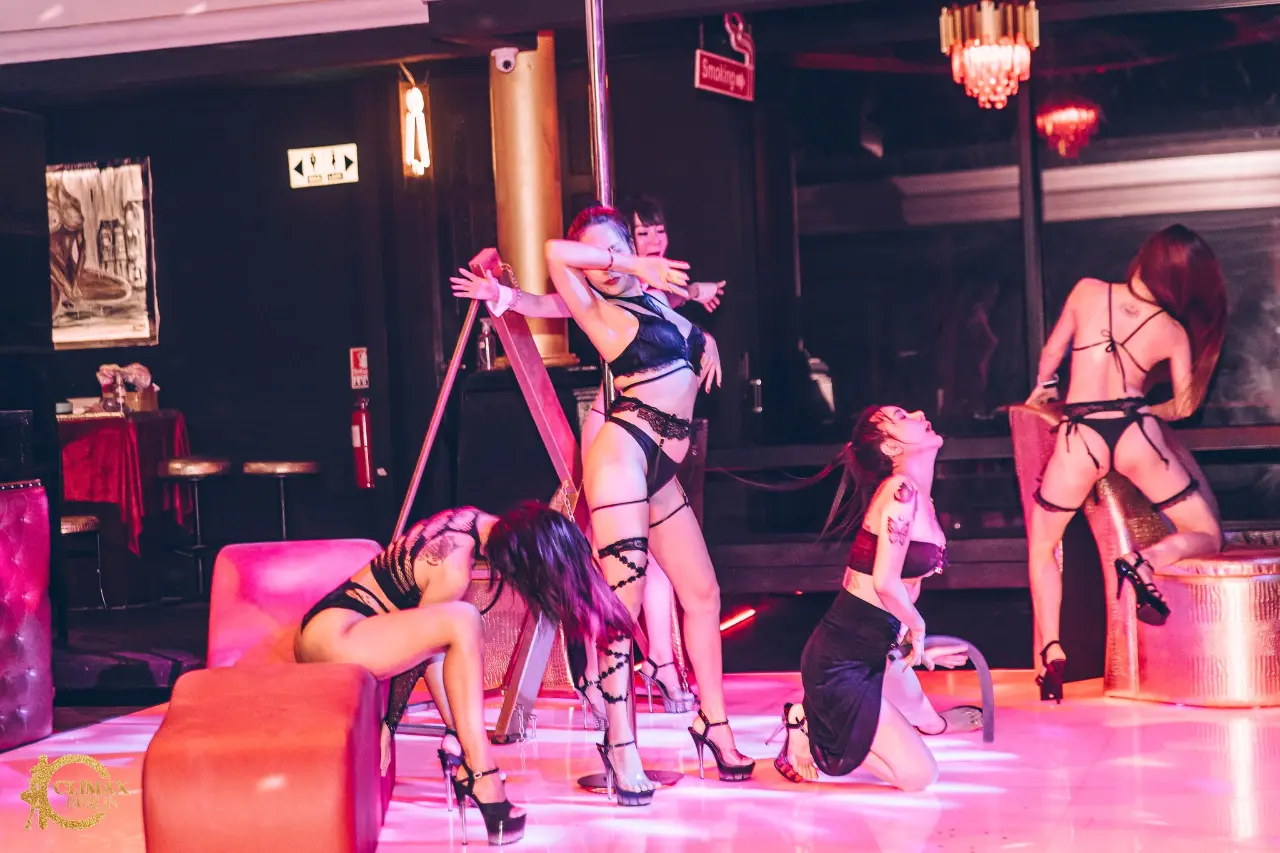 Live Shows - Image 16